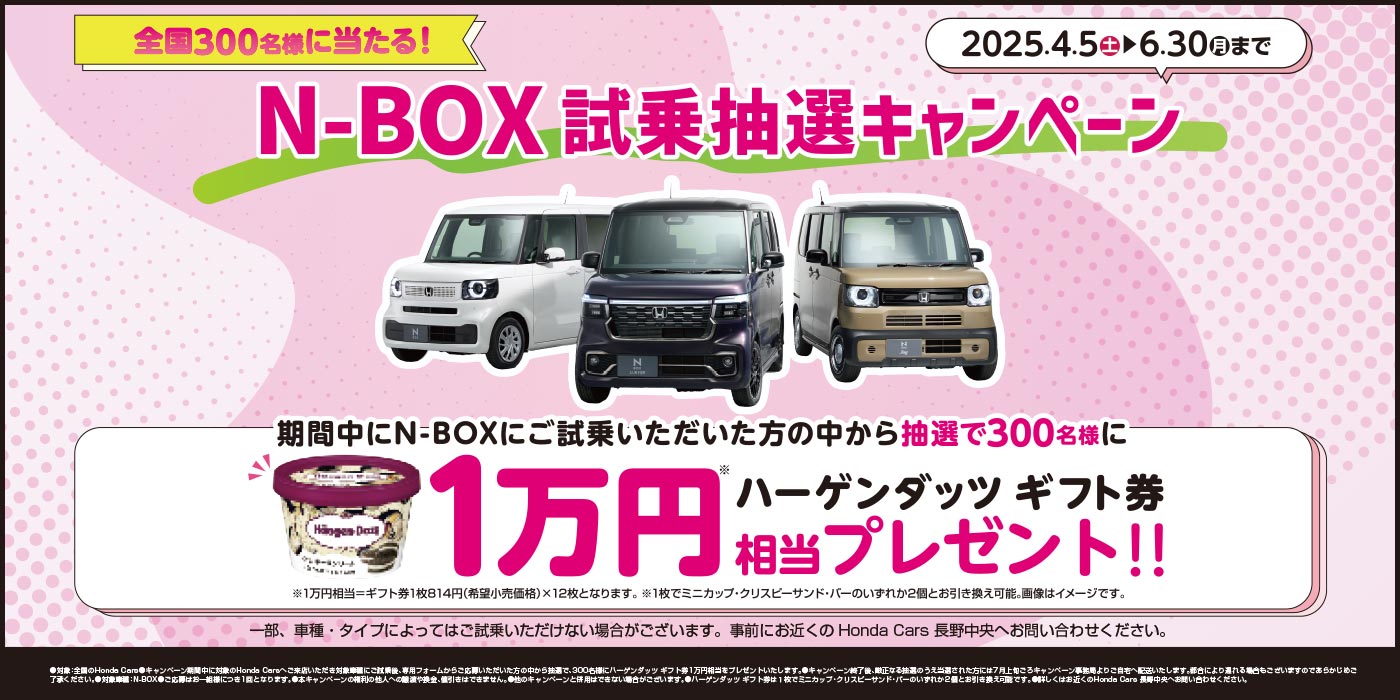 N-BOXv[g